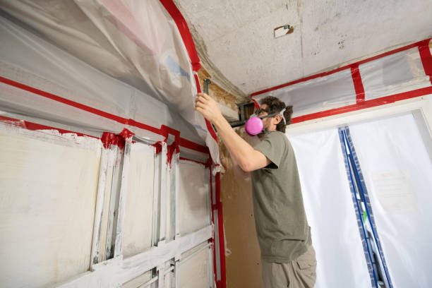 Best Air Quality Testing for Mold Spores  in El Lago, TX